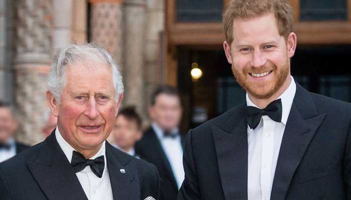 Prince Harry receives new title ahead of meeting with King Charles