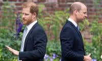Prince William Foils Prince Harry's Reunion Plans Ahead Of UK Return