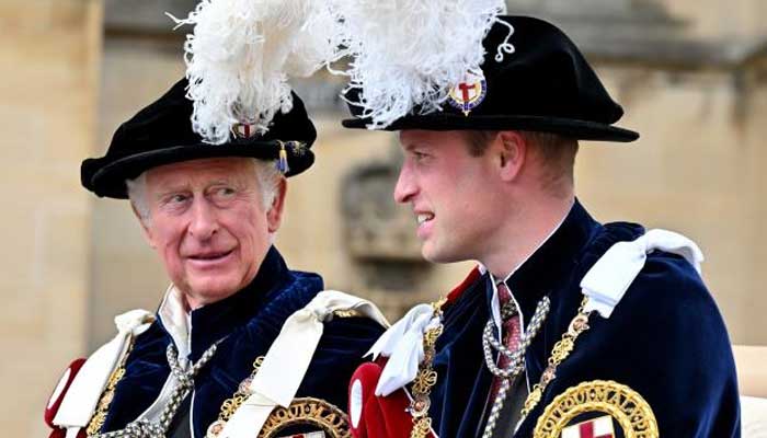 IS Prince William fit for the throne?