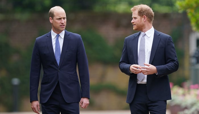 Prince William to arrange joint public outing with Harry on his visit to UK