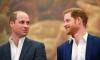 Prince Harry's inheritance exceeds Prince William's in surprising twist