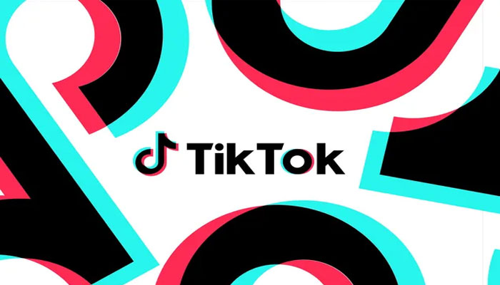 TikTok introduces dedicated STEM feed for young minds. — Representational image from The Verge