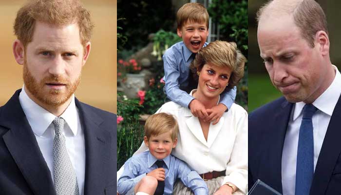 Prince Harry doesn’t fit into the royal family’s overall picture