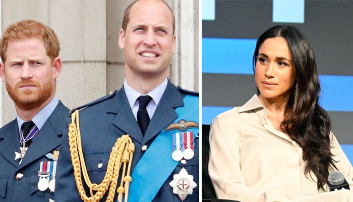 Meghan Markle disrupts Prince Harry, Prince Williams reunion plans