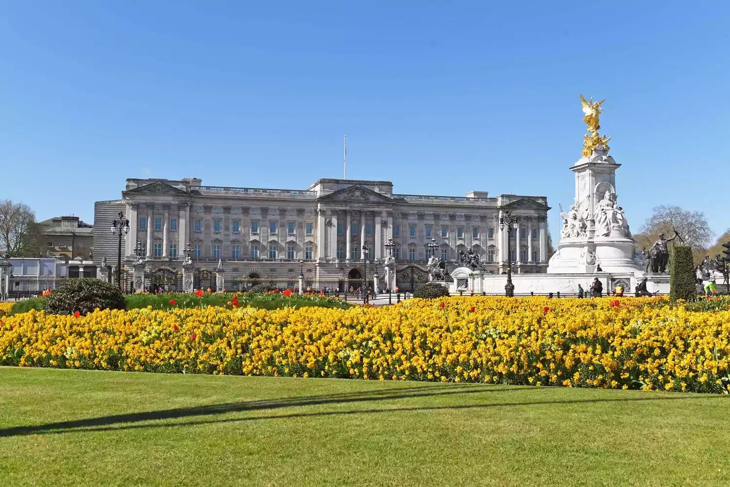 Buckingham Palace announces big treat for royal fans