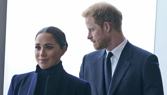 Prince Harry has mixed feelings about Meghan Markle's new career