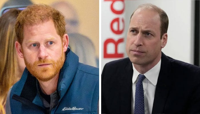 Prince Harry ‘opts out’ to face Prince William in public