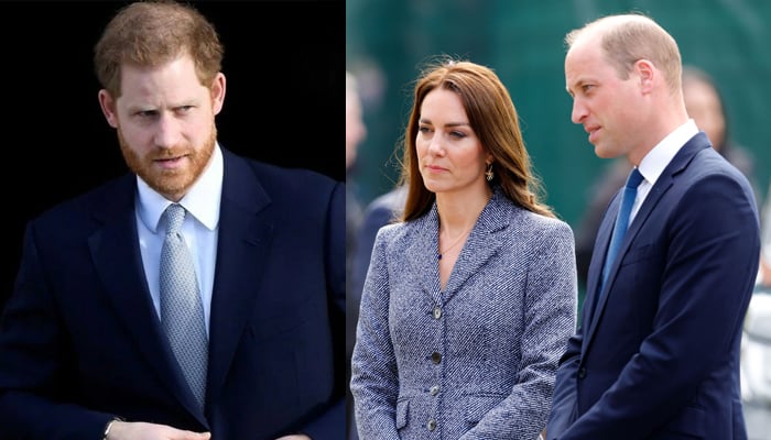 Prince William, Kate Middletons fears exposed ahead of Prince Harrys UK return