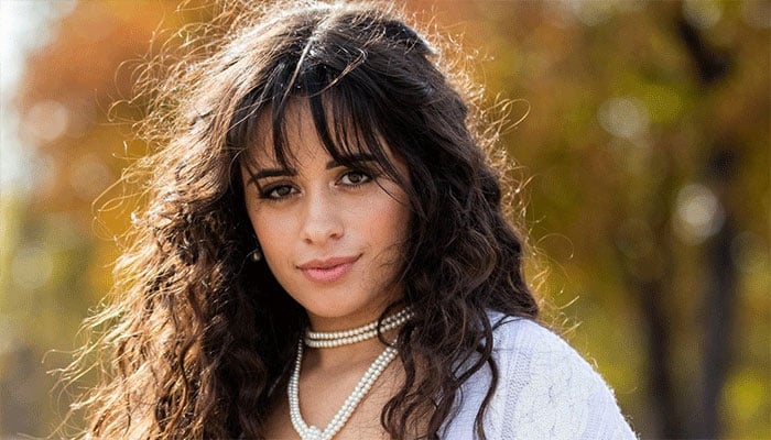 Camila Cabello reconciliation with Shawn Mendes ends in realization.