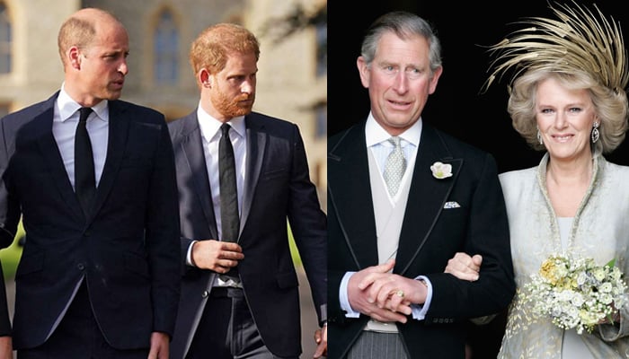 Prince Harry and Prince William unite over heartbreak at Charles and Camilla's wedding