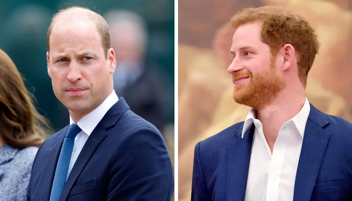 Prince William’s stress levels go up as Prince Harry plans new stunt