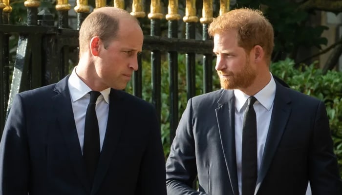 Prince Williams final decision about Prince Harrys fate in royal family