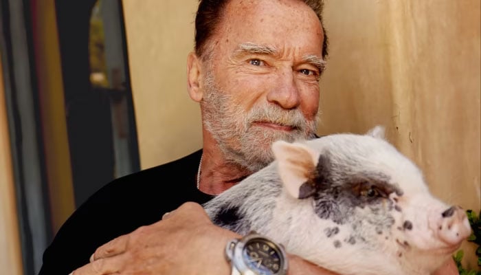 Arnold Schwarzenegger adopted his pig Schnelli in April 2023