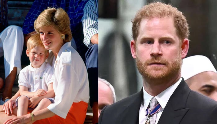 Prince Harry borrows from his loss of Princess Diana to comfort orphaned kids