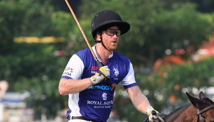 Prince Harry keenly works behind the scenes for his Netflix polo documentary