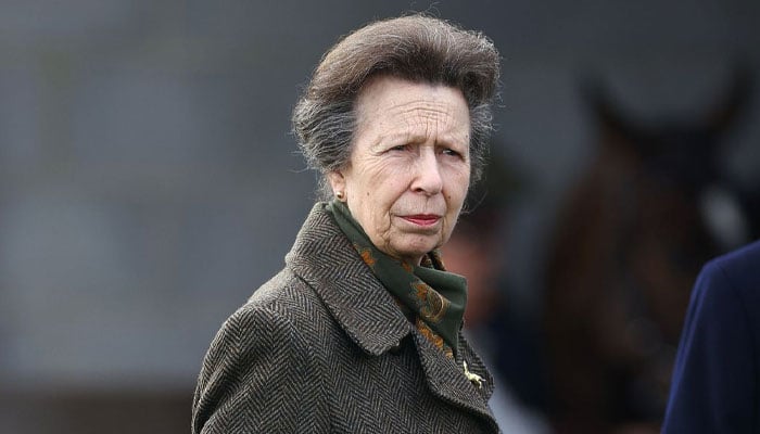 Princess Anne continues royal duties 'quietly' despite health issues