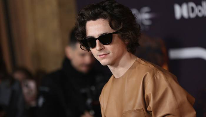 Timothée Chalamet channelises Bob Dylan for his upcoming biopic