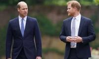 Prince Harry Apologises To Prince William For King Charles?