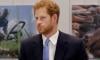 Prince Harry firmly shuts down rumours of return to royal duties 