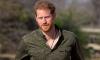 Prince Harry faces calls to step down as fresh torture claims hit African charity
