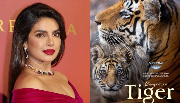 Priyanka Chopra talks about the upcoming documentary film Tiger
