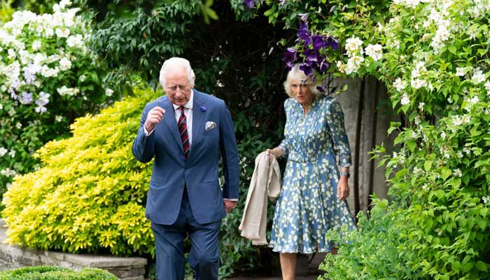 Buckingham Palace sends heartfelt appeal to King Charles for children