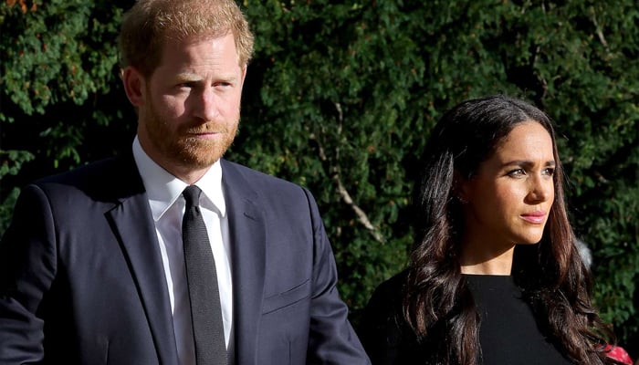 Meghan Markle, Prince Harrys bizarre perception of royal family slammed