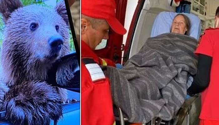 British tourist attacked by bear for taking selfies. — Jam Press
