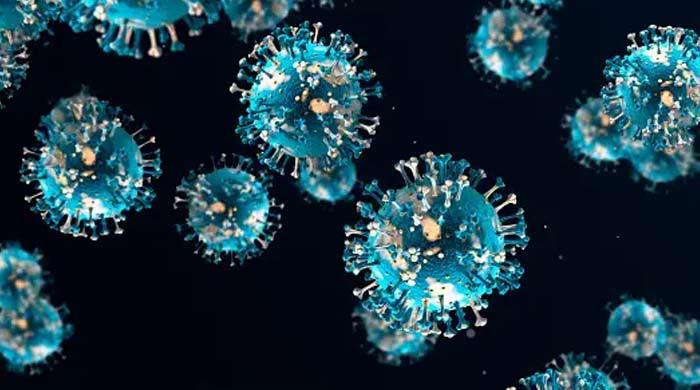 Photo of Vakcína, ktorá bojuje proti všetkým vírusom, je konečne vyrobená