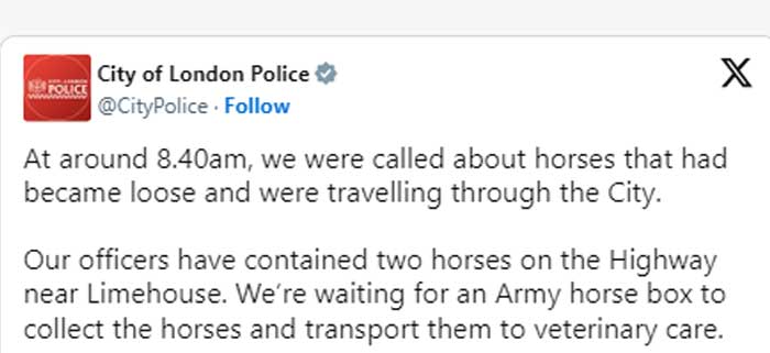 Runaway royal horses cause panic outside Buckingham Palace