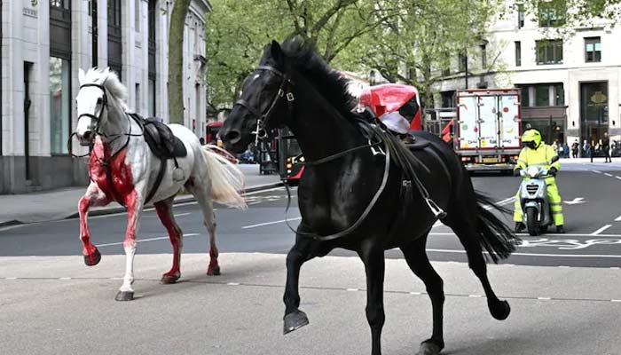 London horses injure several people after left on loose. — The Telegraph
