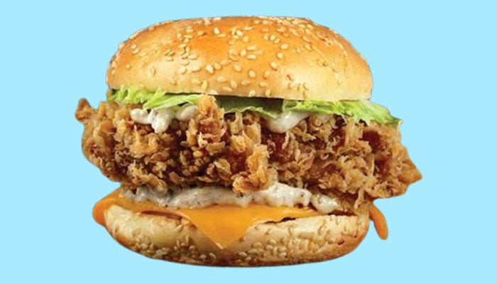 A representational picture of a zinger burger. —Unsplash