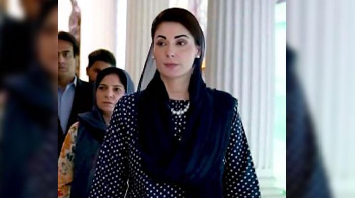 Maryam Nawaz prefers 'simplicity', says minister on CM's clothing choice