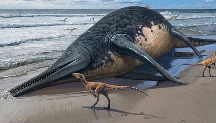 Largest marine reptile may belong to Late Triassic era. — Sergey Krasovskiy/File