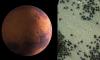 Mars have 'spiders': Will you still live there?