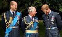 Prince Harry Impresses King Charles With His  'authoritative' Award Speech