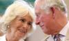 Royal fans react to King Charles, Camilla's brand new picture