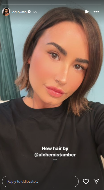 Demi Lovate shows off new hairdo in latest selfie: See