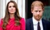 Princess Kate gives befitting response to Prince Harry's assumptions about her