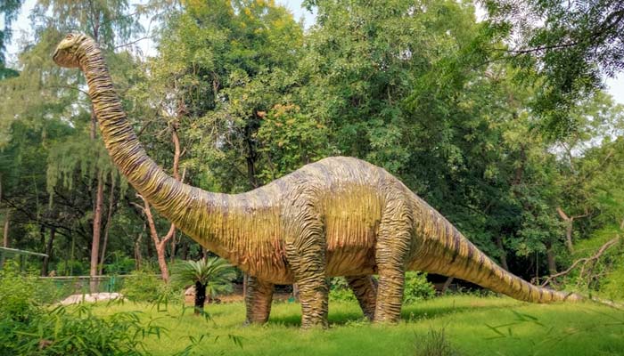 Herbivorous dinosaur finally discovered after 90 million years. — Unsplash/File