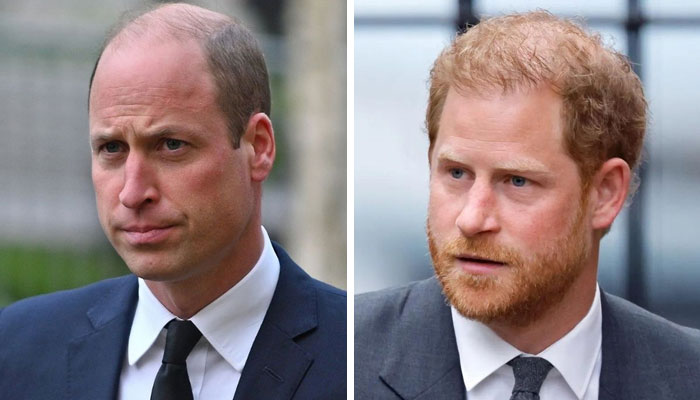 ‘Heir’ Prince William ‘jealous’ of ‘spare’ little brother Prince Harry