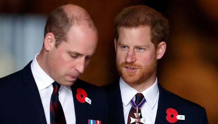 Prince Harry no longer ‘spiteful’ towards Prince William