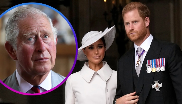 Prince Harry, Meghan Markle blamed for damaging Royal Familys relationship with Commonwealth