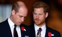 Prince Harry No Longer ‘spiteful’ Towards Prince William