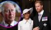 Prince Harry, Meghan Markle blamed for damaging Royal Family's relationship with Commonwealth
