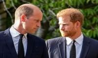 Prince William Turns Too Rude For Prince Harry: ‘damaged Generation'