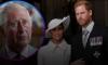 Prince Harry, Meghan Markle 'clutching on' to titles with 'bare fingers'
