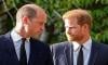 Prince William turns too rude for Prince Harry; ‘damaged generation'