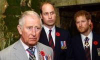 Prince Harry Puts King Charles, Prince William In Complicated Situation