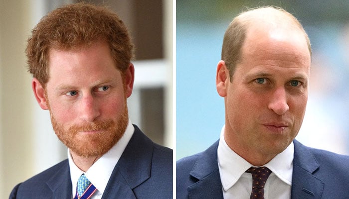 Prince Harry ‘privately’ expressed desire to meet Prince William